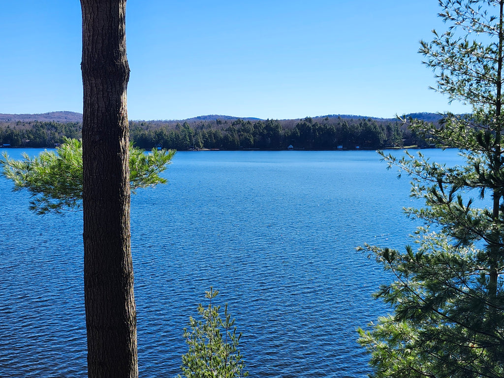 GUIDED/UNGUIDED-Adirondack Experience 2025 (Wed-Fri)
